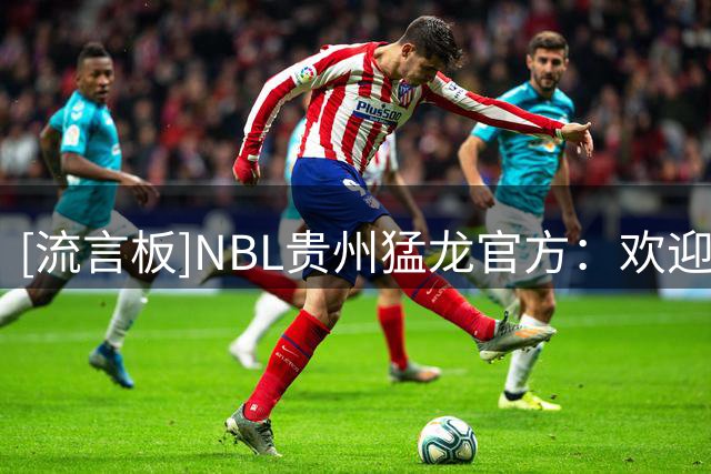 [流言板]NBL贵州猛龙官方：欢迎张兴亮加入贵州猛龙